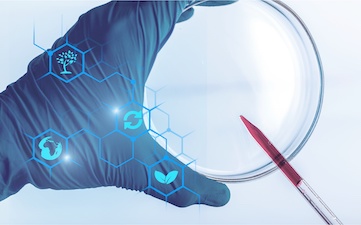 Novel food status of biotechnically produced sodium hyaluronate clarified in consultation request