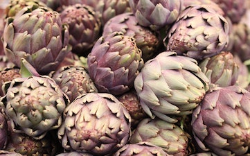 artichoke