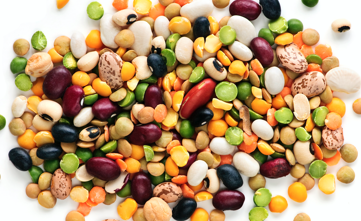 EFSA positive opinion on the safety of mung bean protein as a novel food pursuant to Regulation (EU) 2015/2283