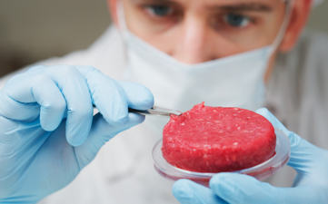 Italy plans the prohibition of cultured meat